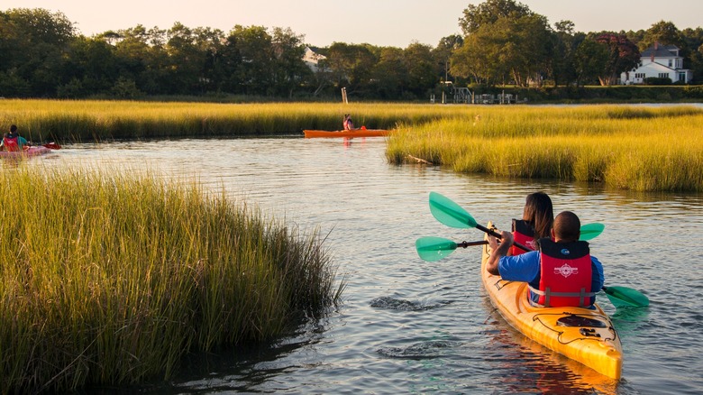 People kayaking on a winery tour in Virginia's Church Creek