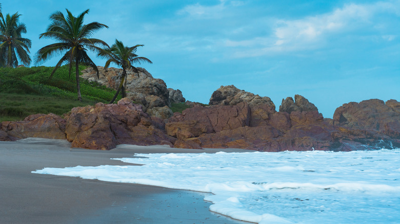 A palm tree with turquoise water in the background at Kokrobite Beach