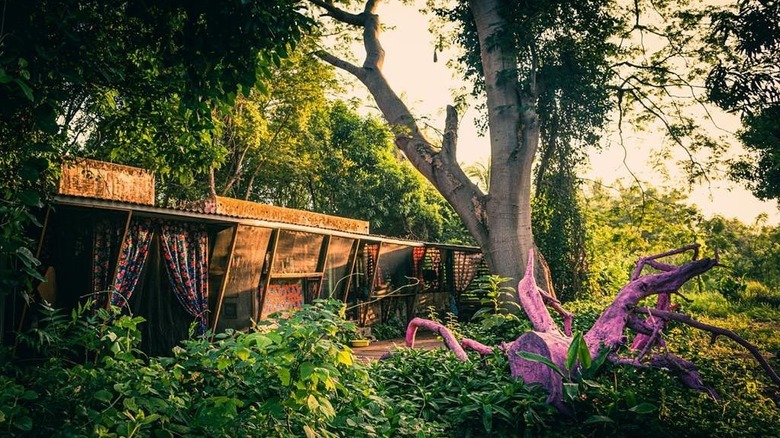 Cabana in the jungle - Planta Glamp