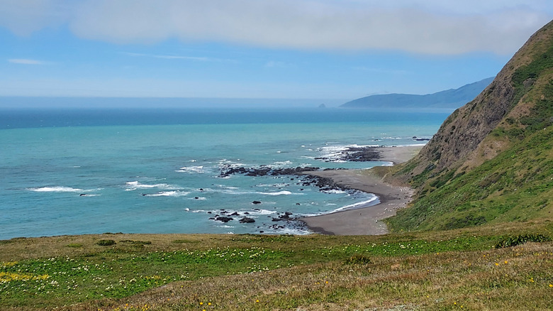 View of the Pacific Ocean from the Lost Coast Trail in California's King Range
