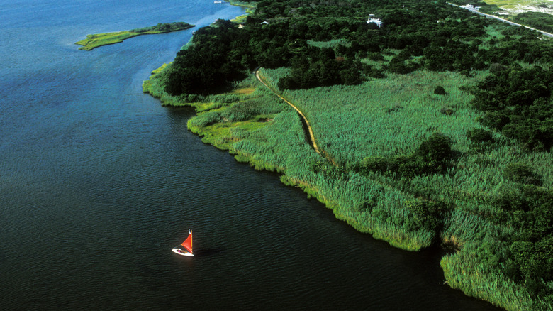 Sailboat tacks through Barnegat Bay