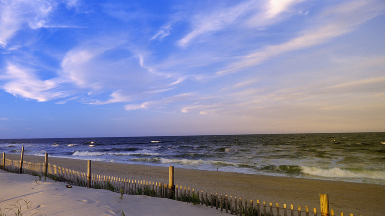 Shore waters at Island Beach State Park