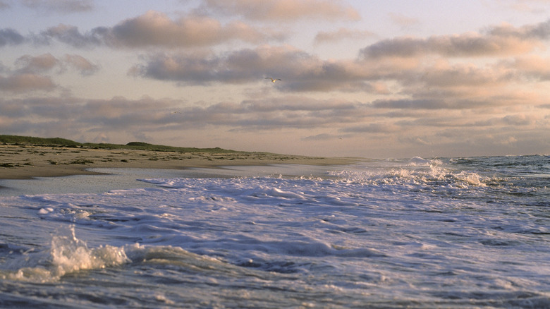 Waves lapping shore of Barnegat Bay