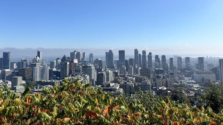 A view of downtown Montreal from the top of the Mont Royal