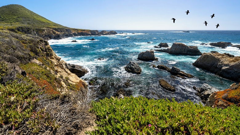 Garrapata State Park aerial view