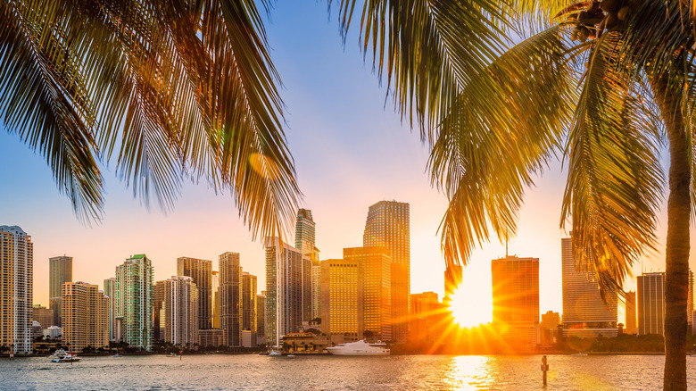 Miami is known for its dining, beaches, and entertainment