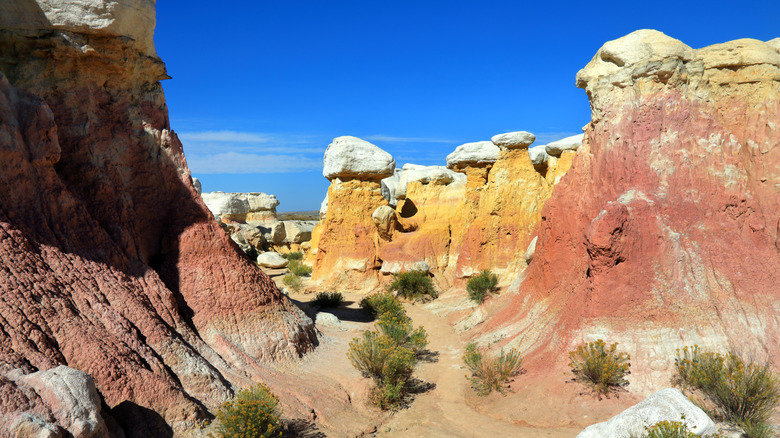 View of the geological formations at the Paint Mines Interpretive Park
