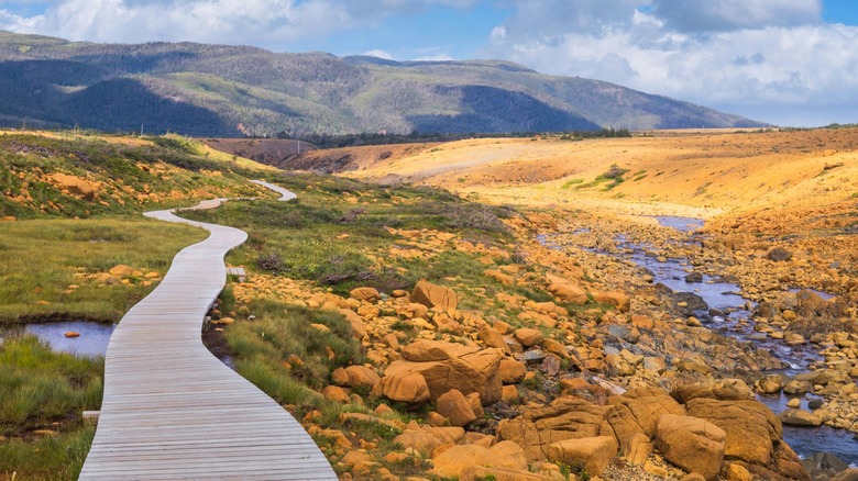 Photo of the tablelands in Gros Morne National Park.