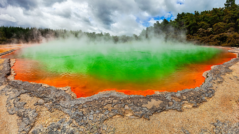 The Champagne Pool at Wai-O-Tapu glows neon green and orange due to geothermal activity while steam rises off of it