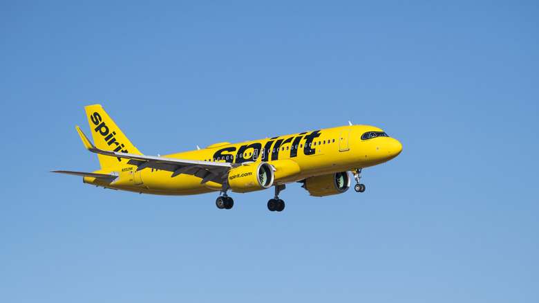 A Spirit Airlines plane in the sky