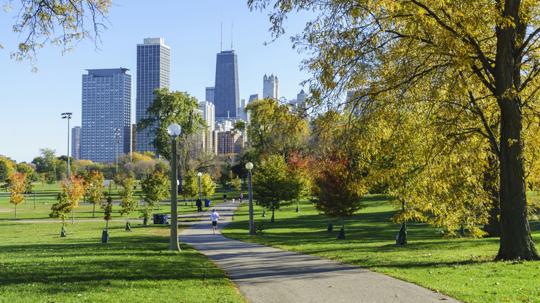 Chicago, Illinois skyline with a park in the foreground