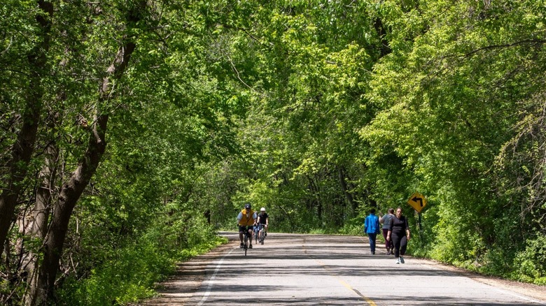 Paved roads throughout the UW Arboretum