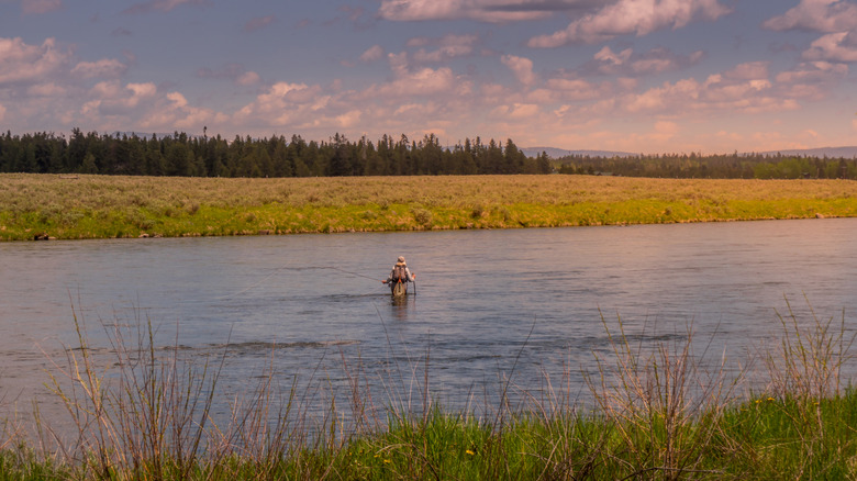 Angler stalks trout at Henry's Fork, Idaho