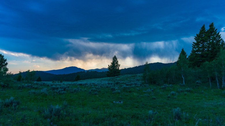 Squall blows over Caribou-Targhee National Forest