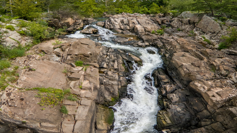 Olmstead Island andscape