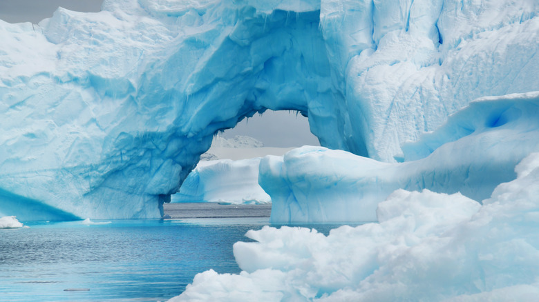 Antarctica ice floating in the sea