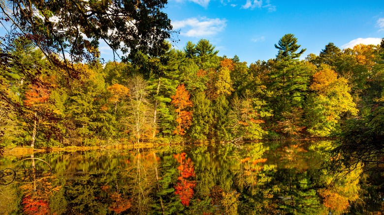 fall foliage in East Granby Connecticut