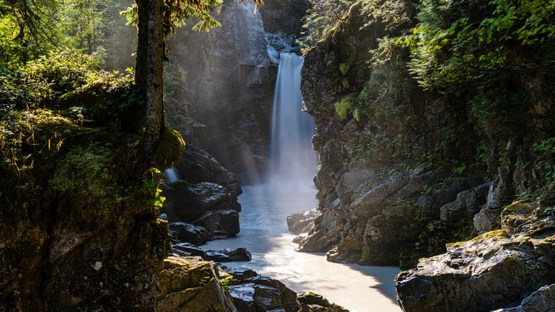 Mamquam Falls surrounded by coastal rainforest in Squamish, British Columbia