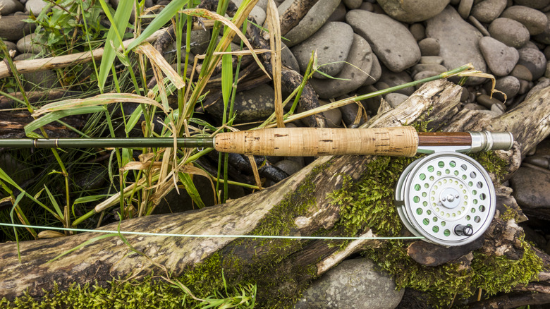 The butt end of a fly fishing rod and reel sitting on a log and stones