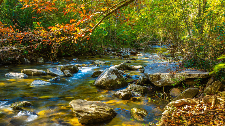 Landscape of the Jacob Fork River in South Mountains State Park