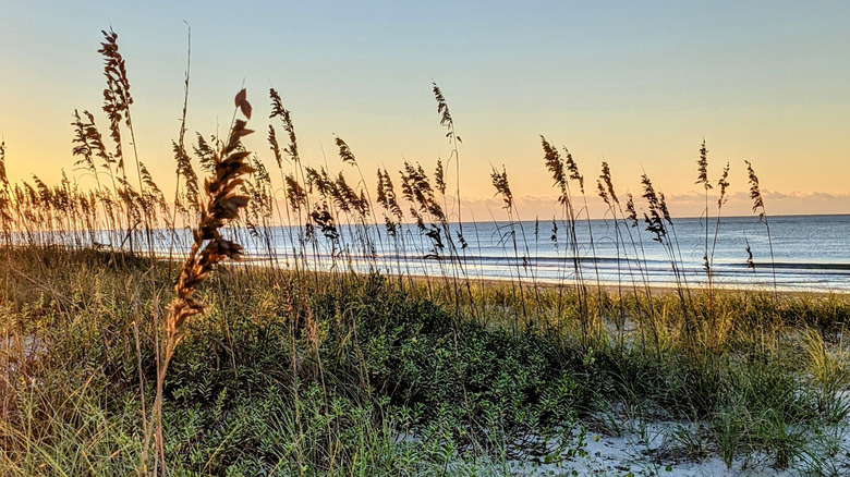 The Atlantic Beach pier in Atlantic Beach, NC
