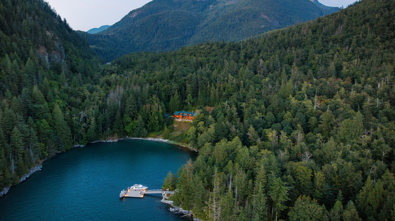 Aerial of the mountains and trees surrounding Fawn Bluff in British Columbia, Canada