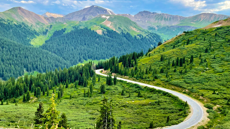 Independence Pass winding through White River National Forest