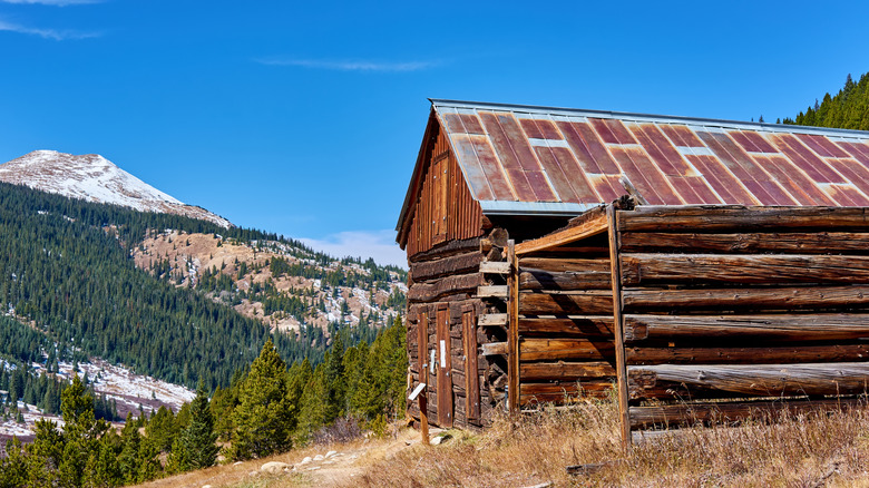 Abandoned log cabin at Independence ghost town