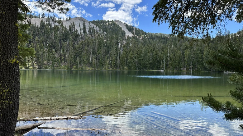 Clear lake in front of trees and a hill in Mountain Lakes Wilderness