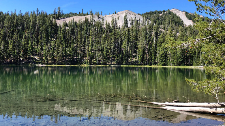 Clear lake surrounded by trees in Mountain Lakes Wilderness