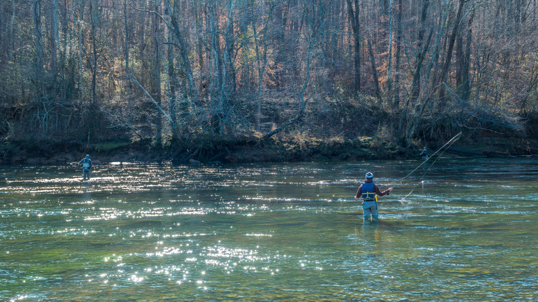 Fly fishing in northern Georgia