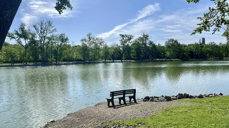 A bench sits at the edge of Richwood Lake