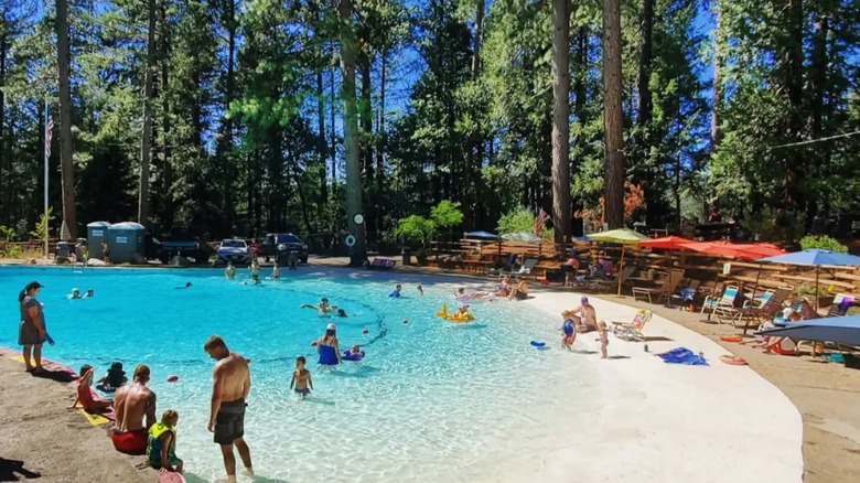 Families swimming at a community swimming pool beneath pines in Dutch Flat, California.