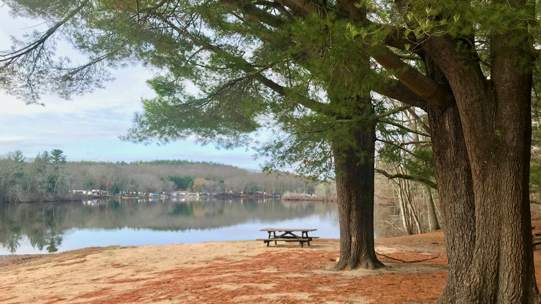 Hopeville Pond at Hopeville State Park