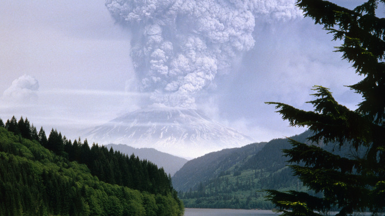 Eruption of Mount St. Helens, Washington