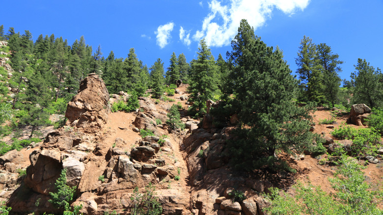 Sandstone rock formations at North Cheyenne Canyon Park in Colorado