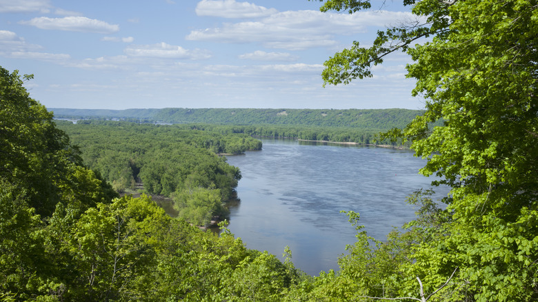 A view of the lush greenery around the Mississippi River near Guttenberg, Iowa