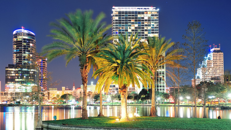 Nighttime view of palm trees in Orlando, Florida