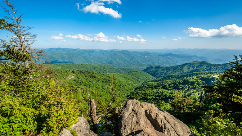 View from the top of Waterrock Knob