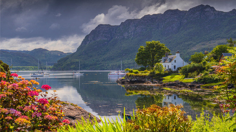 The flowers and greenery throughout the loch and hills of Plockton
