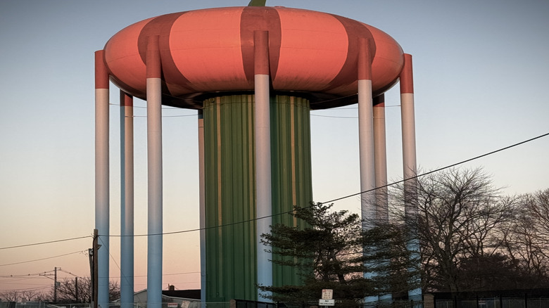 Circleville pumpkin water tower