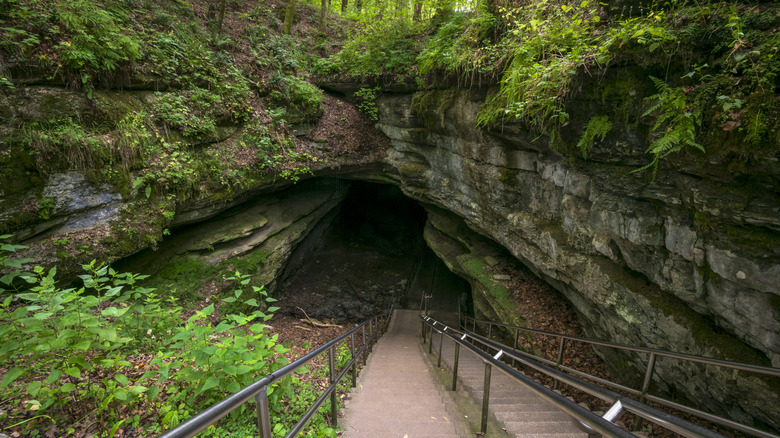 The entrance to Mammoth Cave