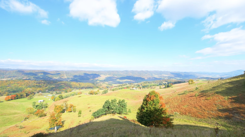 Landscape view of blue sky over green and orange grass in Virginia