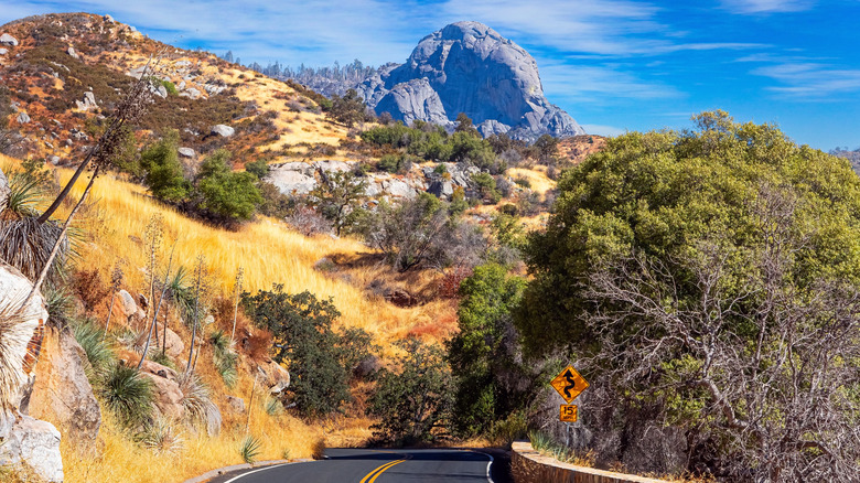 Moro Rock in Sequoia National Park
