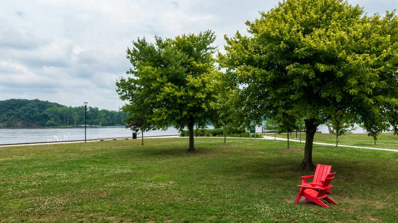 Greenery and Hudson River views at Coxsackie Riverside Park