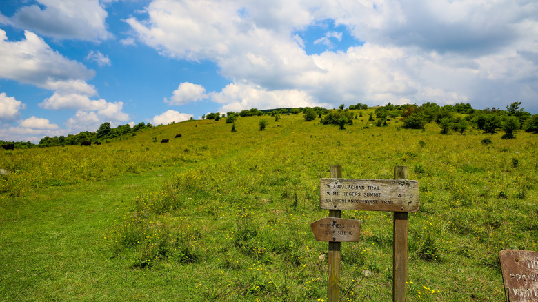 Appalachian Trail in Mount Rogers