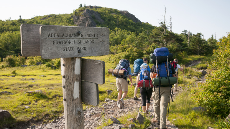 Hikers in Grayson Highlands State Park