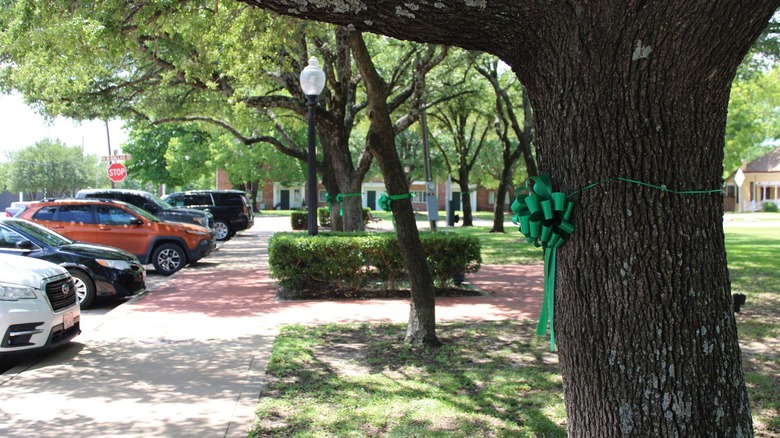 Trees with green ribbon and cars, Lancaster Texas
