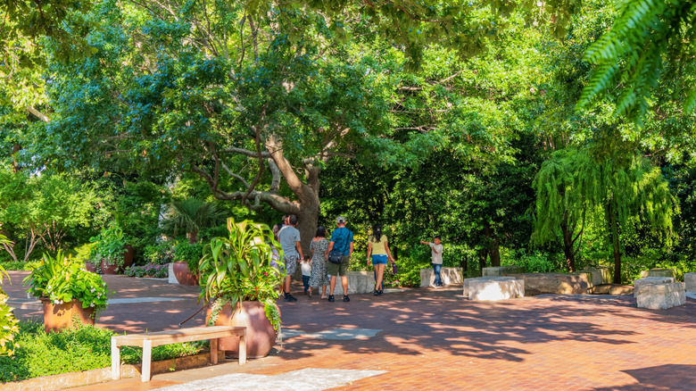 Trees and stone ground with people, Dallas Arboretum and Botanical Garden