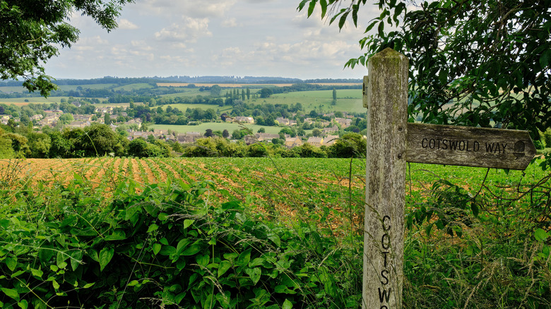 Wooden Cotswold Way sign overlooking quaint English countryside and village